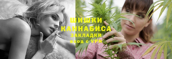 гидра Осинники