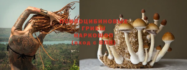 гидра Осинники