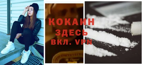 гидра Осинники